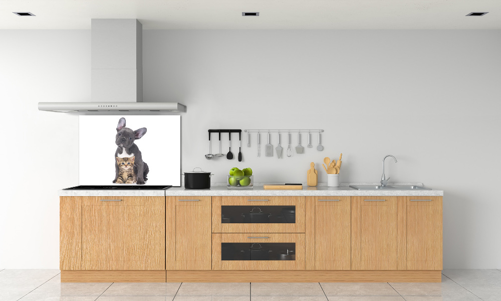 Cooker splashback Dog and cat