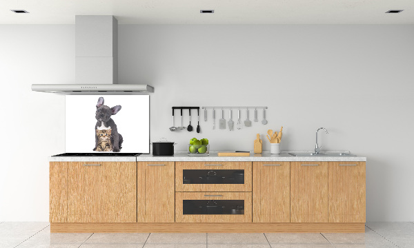 Cooker splashback Dog and cat