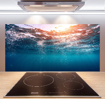 Kitchen splashback Underwater world