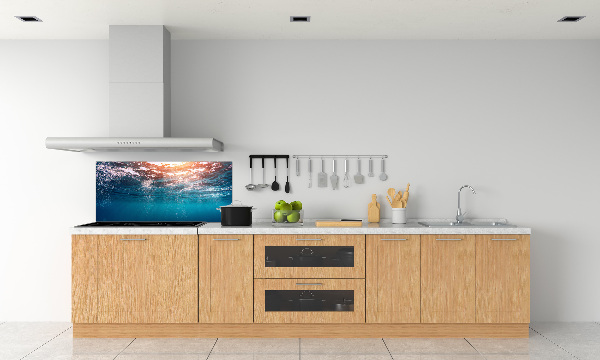 Kitchen splashback Underwater world