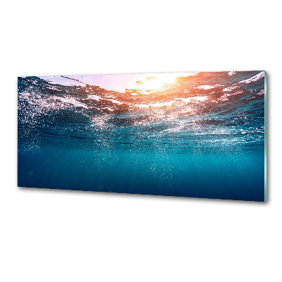 Kitchen splashback Underwater world