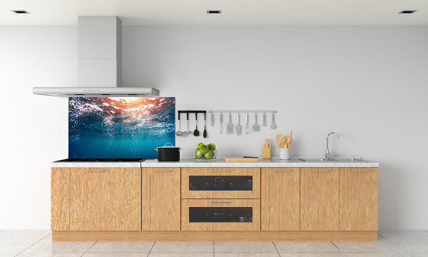 Kitchen splashback Underwater world