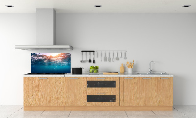 Kitchen splashback Underwater world