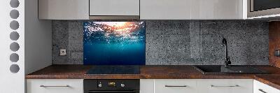 Kitchen splashback Underwater world