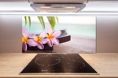 Cooker splashback Plumeria