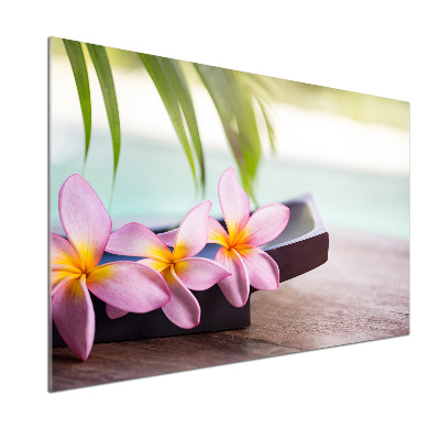 Cooker splashback Plumeria