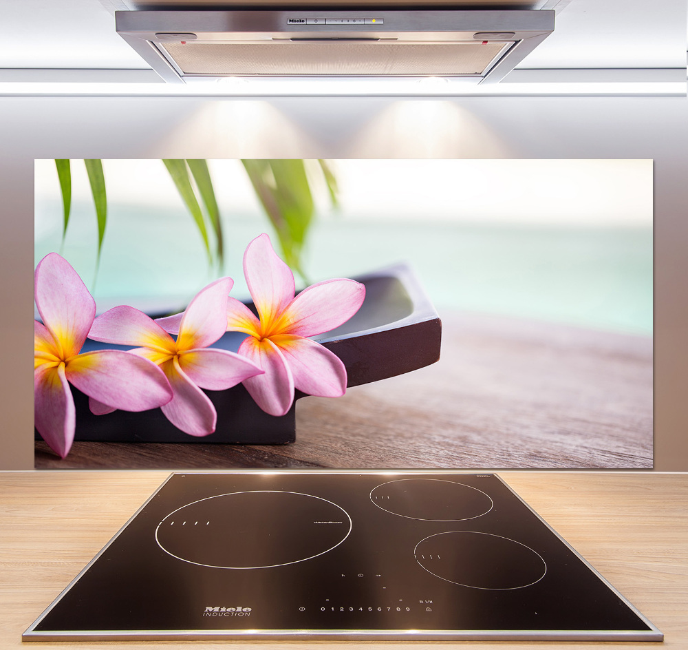 Cooker splashback Plumeria