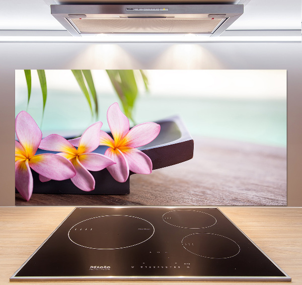 Cooker splashback Plumeria