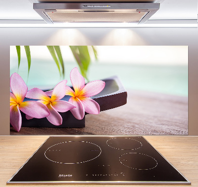 Cooker splashback Plumeria