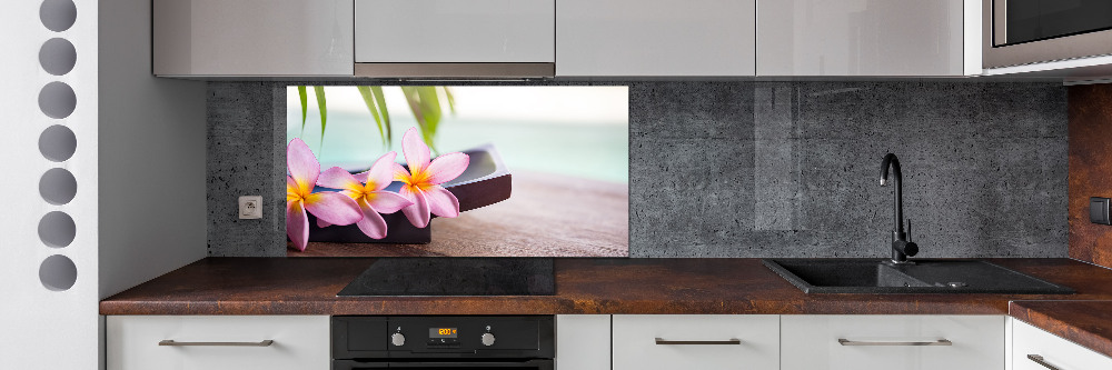 Cooker splashback Plumeria