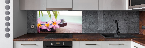 Cooker splashback Plumeria