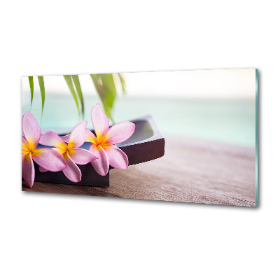 Cooker splashback Plumeria