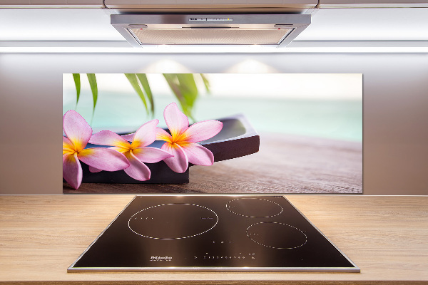 Cooker splashback Plumeria