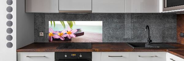 Cooker splashback Plumeria