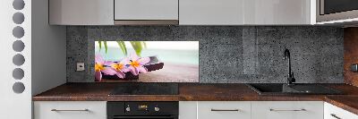 Cooker splashback Plumeria