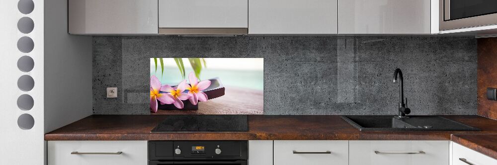 Cooker splashback Plumeria