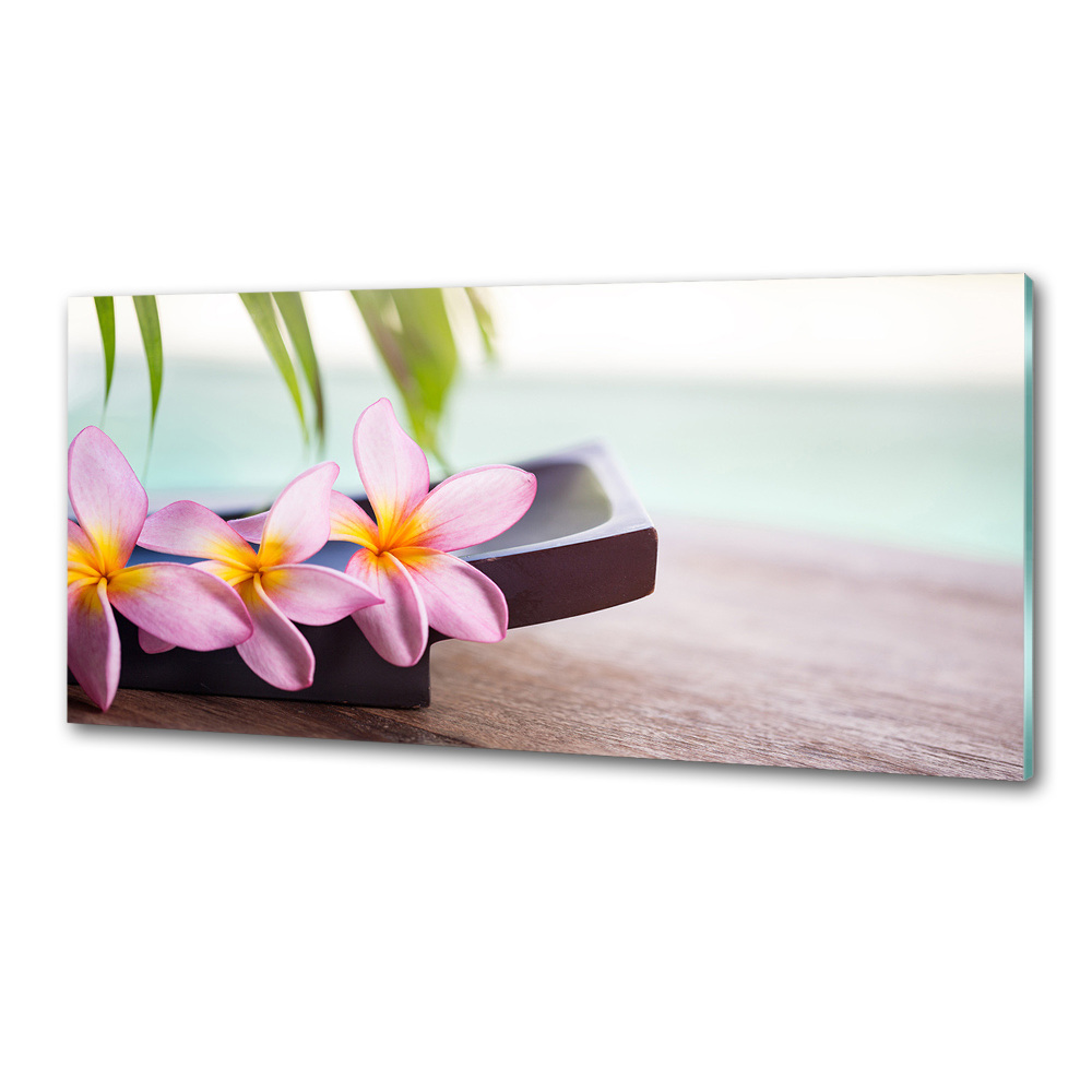 Cooker splashback Plumeria