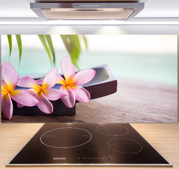 Cooker splashback Plumeria