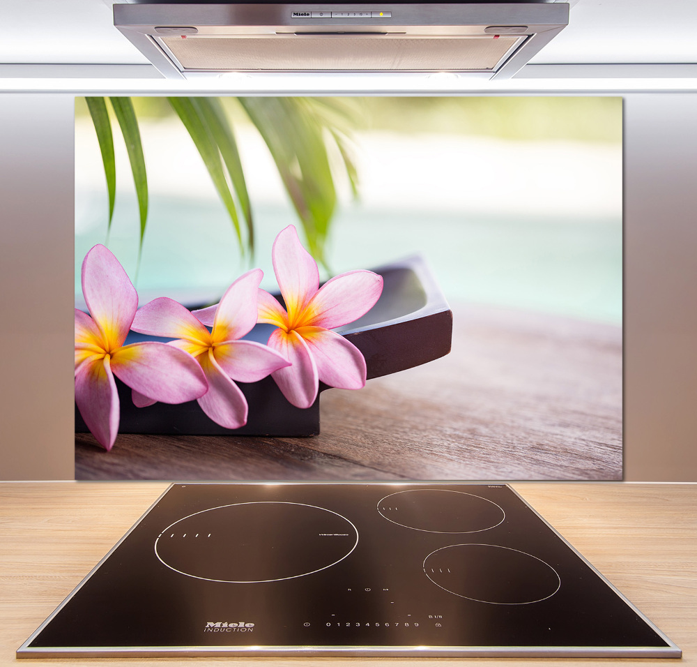 Cooker splashback Plumeria