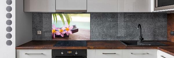 Cooker splashback Plumeria