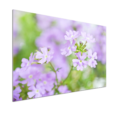 Cooker splashback Verbena