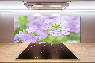 Cooker splashback Verbena