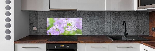 Cooker splashback Verbena