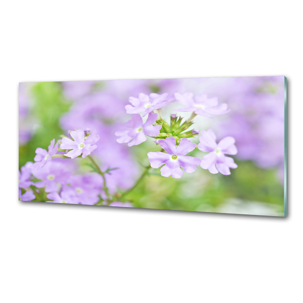 Cooker splashback Verbena