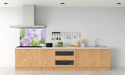 Cooker splashback Verbena