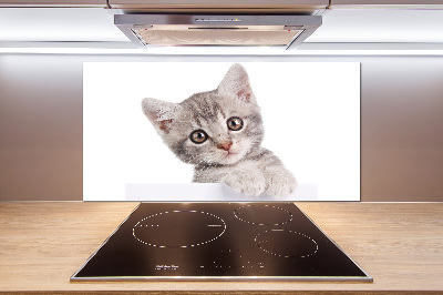 Cooker splashback Gray cat