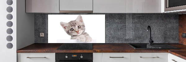 Cooker splashback Gray cat