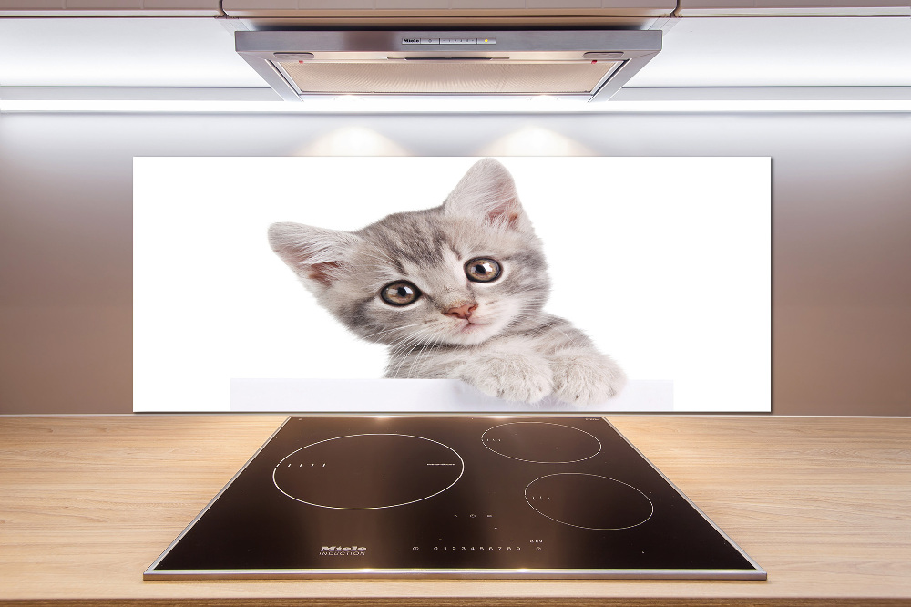 Cooker splashback Gray cat