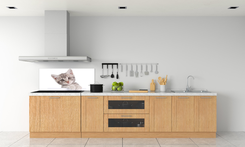 Cooker splashback Gray cat