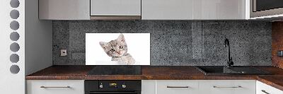 Cooker splashback Gray cat