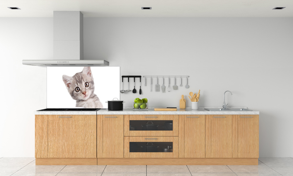 Cooker splashback Gray cat