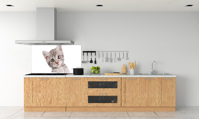 Cooker splashback Gray cat