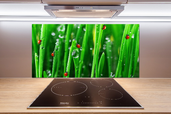 Cooker splashback Ladybugs on the grass