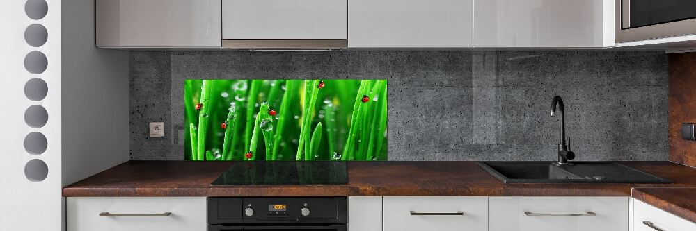 Cooker splashback Ladybugs on the grass