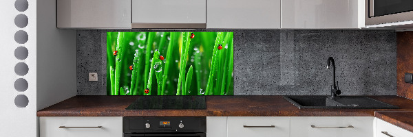 Cooker splashback Ladybugs on the grass