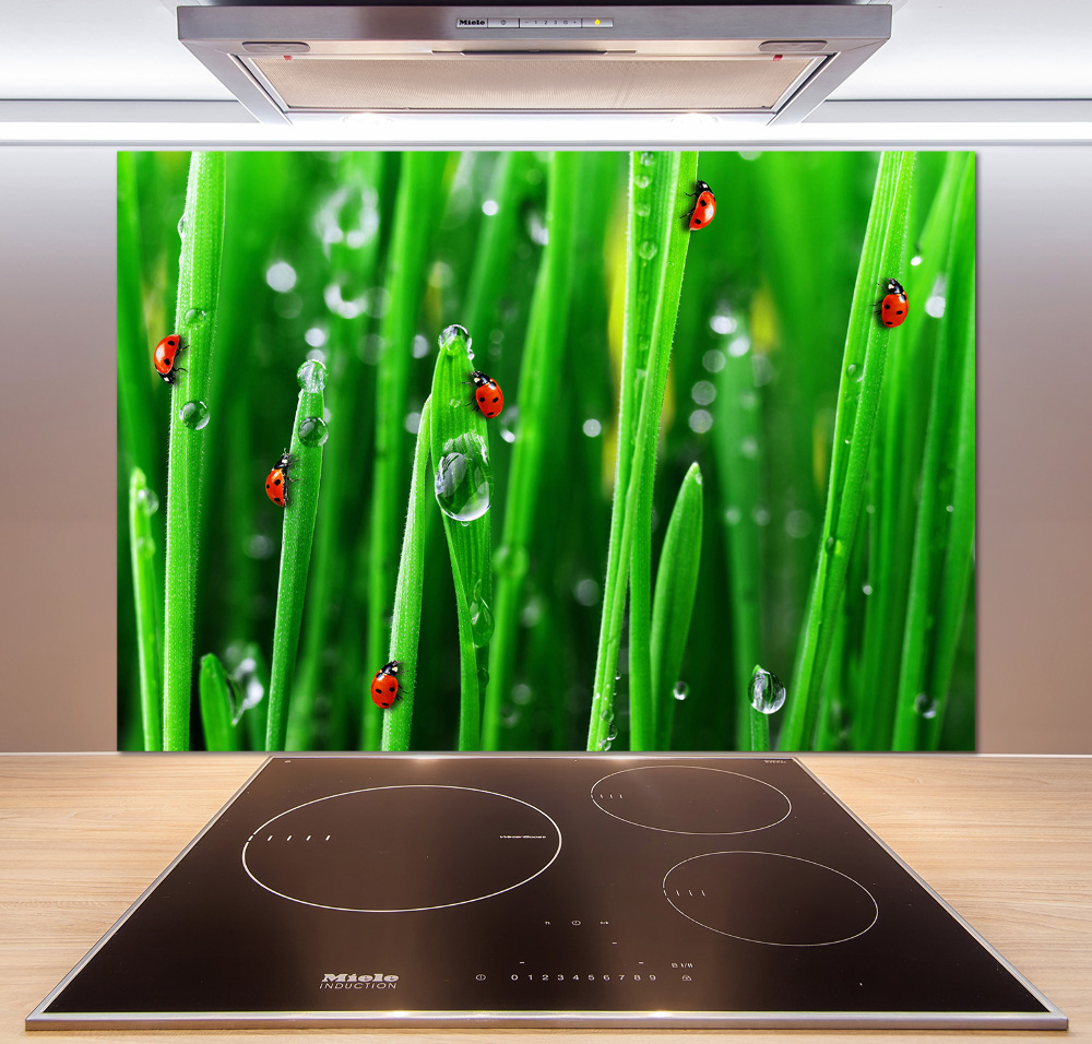 Cooker splashback Ladybugs on the grass