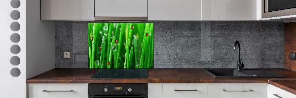 Cooker splashback Ladybugs on the grass