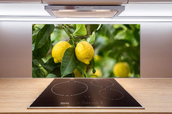 Cooker splashback Lemons on a tree