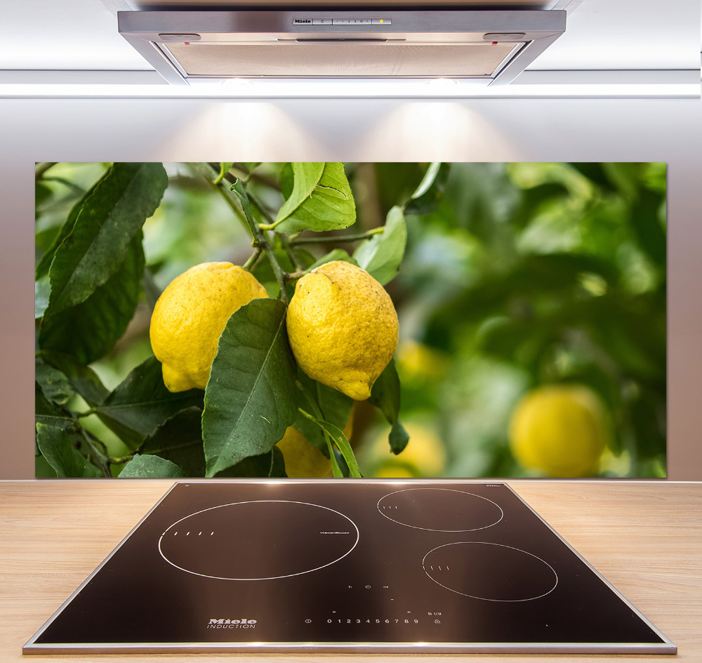 Cooker splashback Lemons on a tree