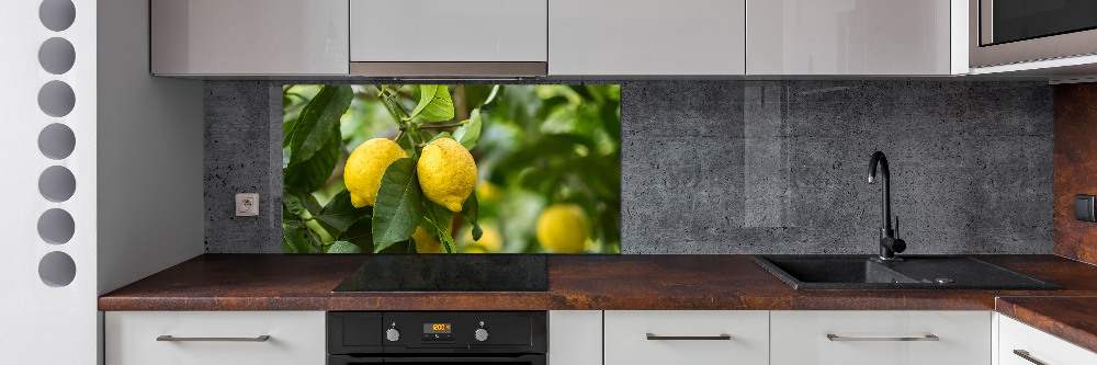 Cooker splashback Lemons on a tree