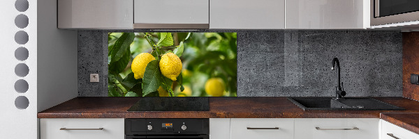 Cooker splashback Lemons on a tree