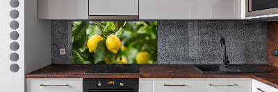 Cooker splashback Lemons on a tree