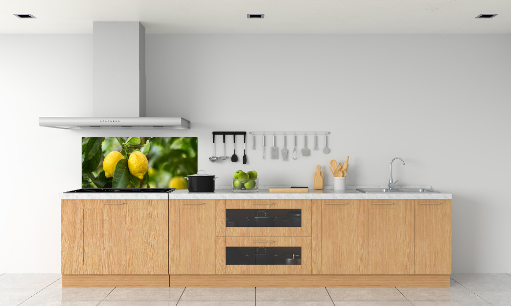 Cooker splashback Lemons on a tree