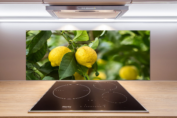 Cooker splashback Lemons on a tree