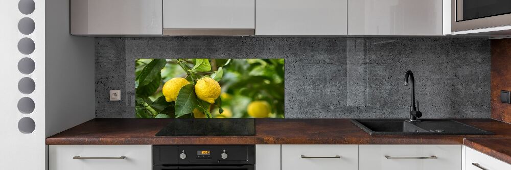 Cooker splashback Lemons on a tree