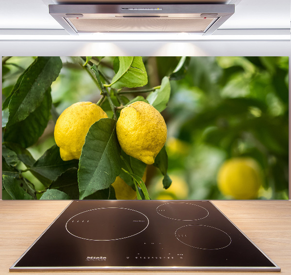 Cooker splashback Lemons on a tree